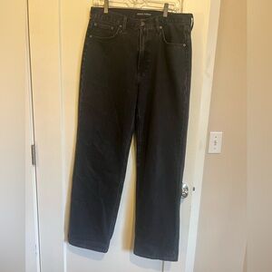 Aritzia Denim Forum Black The ‘90s Iggy Lo-Rise Baggy Jeans